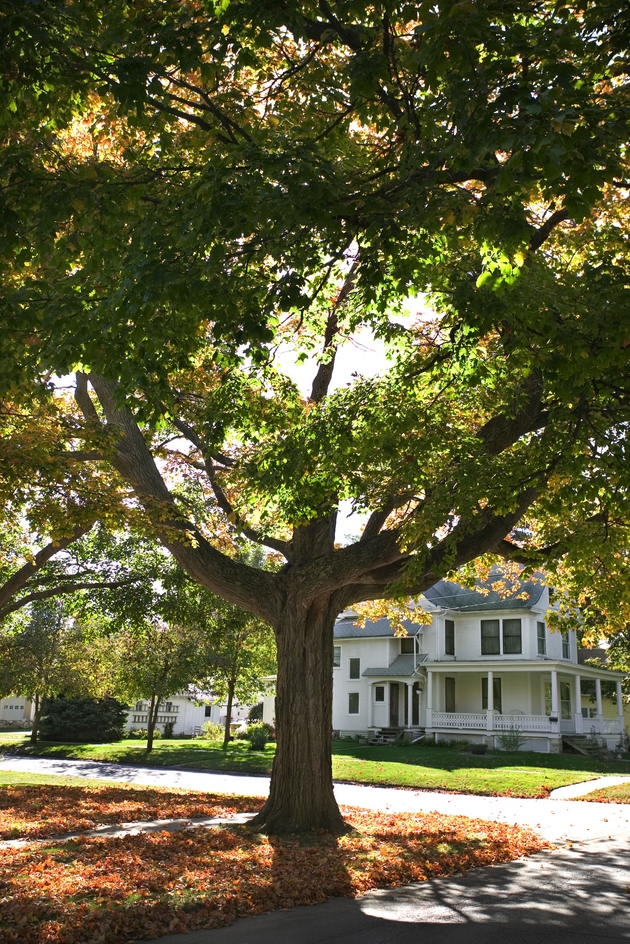 brykerwoods austin homes